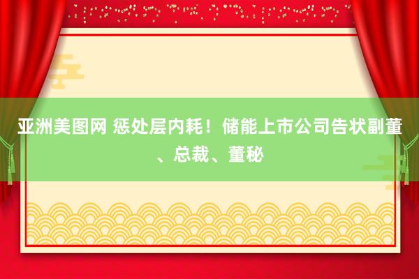 亚洲美图网 惩处层内耗！储能上市公司告状副董、总裁、董秘