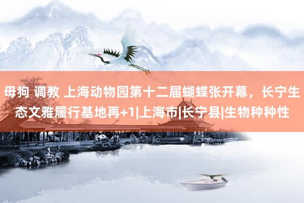 母狗 调教 上海动物园第十二届蝴蝶张开幕，长宁生态文雅履行基地再+1|上海市|长宁县|生物种种性