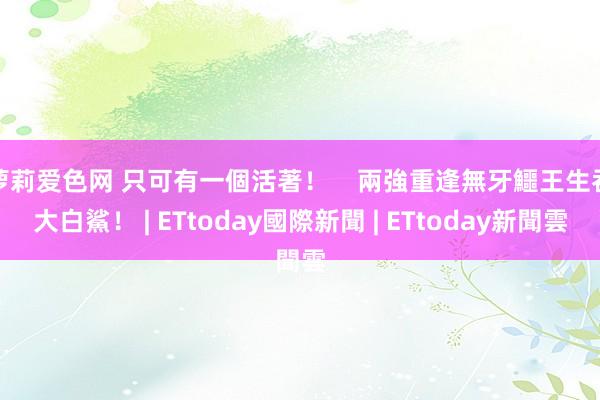 萝莉爱色网 只可有一個活著！    兩強重逢　無牙鱷王生吞大白鯊！ | ETtoday國際新聞 | ETtoday新聞雲