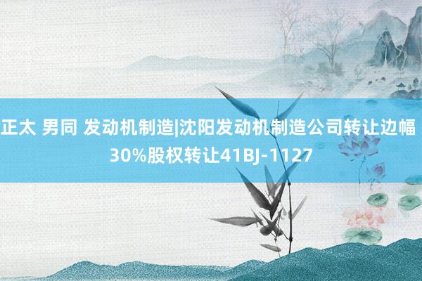 正太 男同 发动机制造|沈阳发动机制造公司转让边幅 30%股权转让41BJ-1127