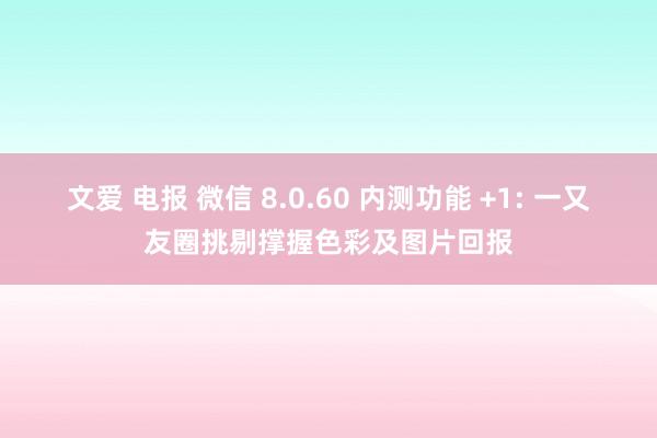 文爱 电报 微信 8.0.60 内测功能 +1: 一又友圈挑剔撑握色彩及图片回报